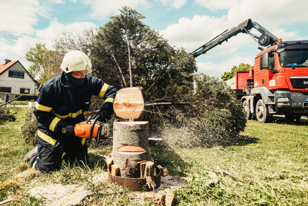 Tree removal and stump grinding service in Atlanta, GA